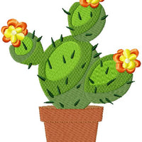 Cactus Design