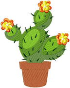 Cactus Design